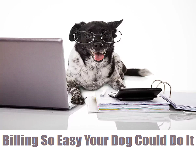 Clearfly Unified Billing Ads #2