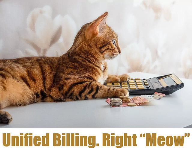 Clearfly Unified Billing Ads