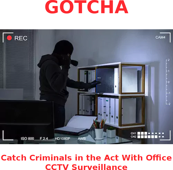 Clearfly Surveillance Ads #3